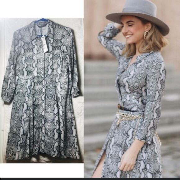 Zara Snakeskin Print Elegant Gray Dress NWT Size Xsmall - Picture 6 of 6